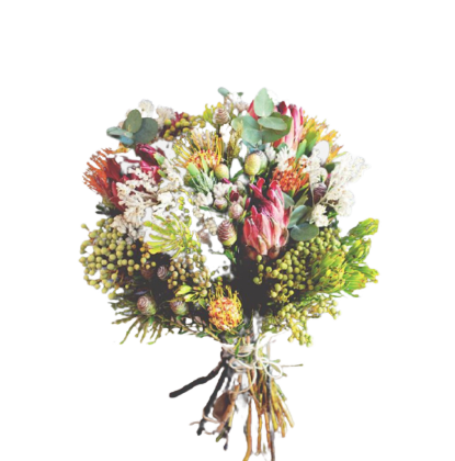 Protea & Fynbos