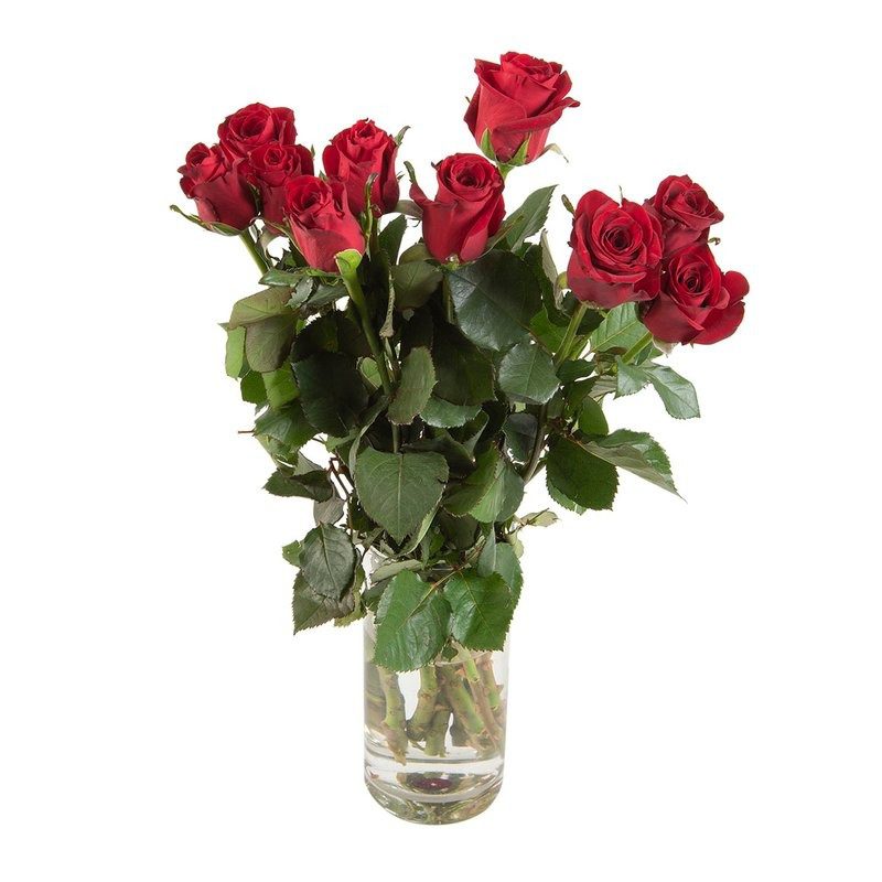 Red Roses – South Africa Florist